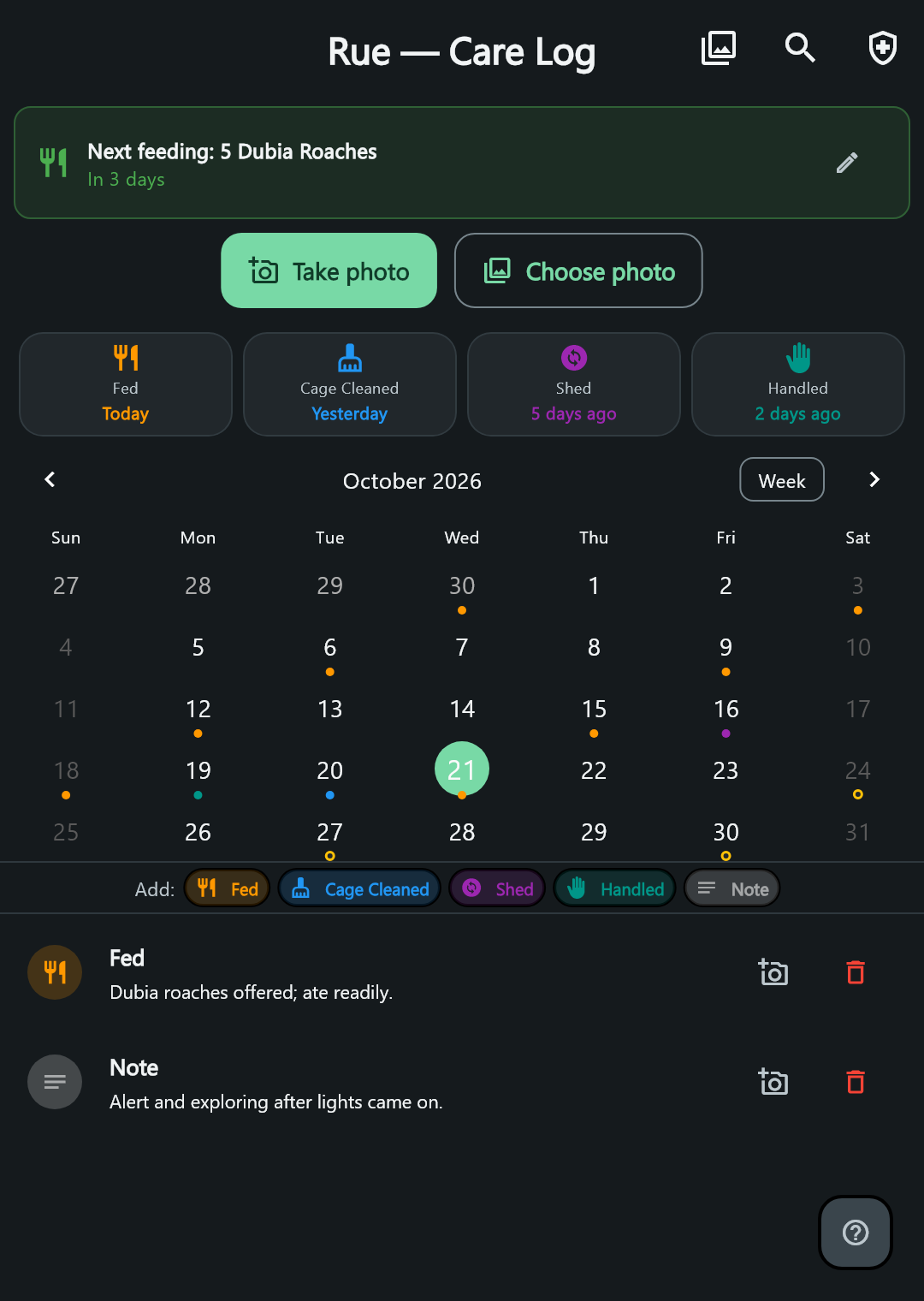 Terrarium Logic care log for sample animal Rue: next feeding, recent care summaries, a calendar with event markers, and feeding and observation notes